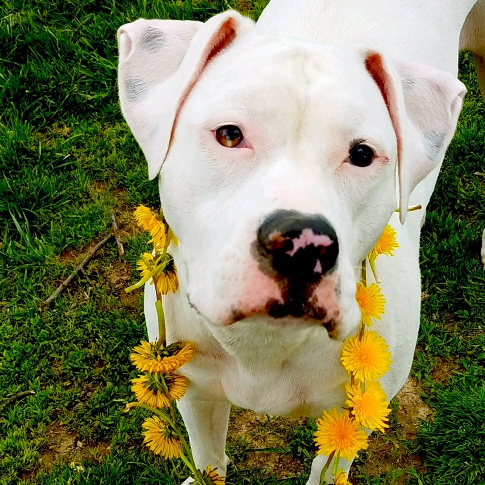 Meet your Posher, Tracy